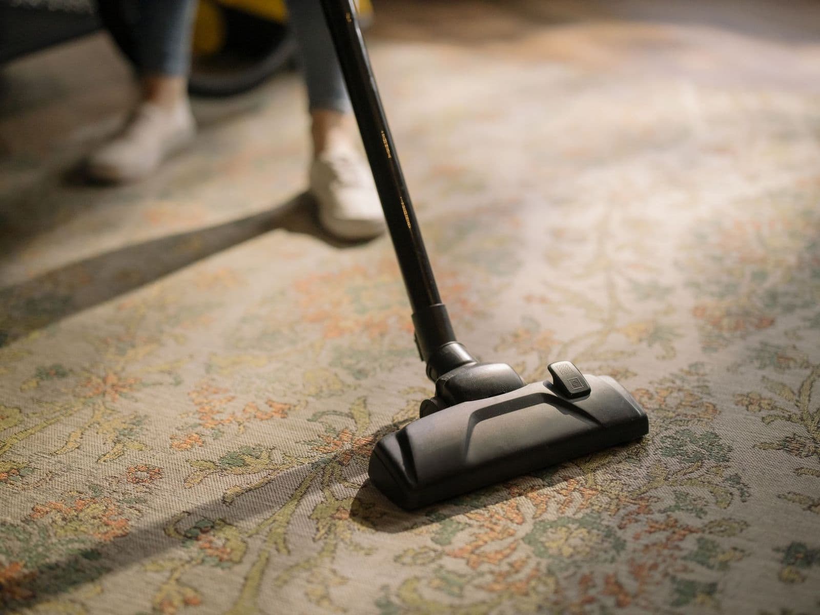 Vacuum cleaner head on a patterned carpet in a sunlit room